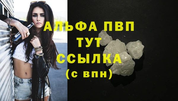 тгк Надым