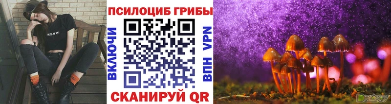 Галлюциногенные грибы Psilocybine cubensis  Кодинск 